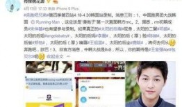 四季最新爆料微博,揭秘娱乐圈最新动态，明星幕后故事大揭秘！”